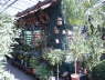 Vogelmarkt